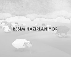 Ümraniye Web Tasarım